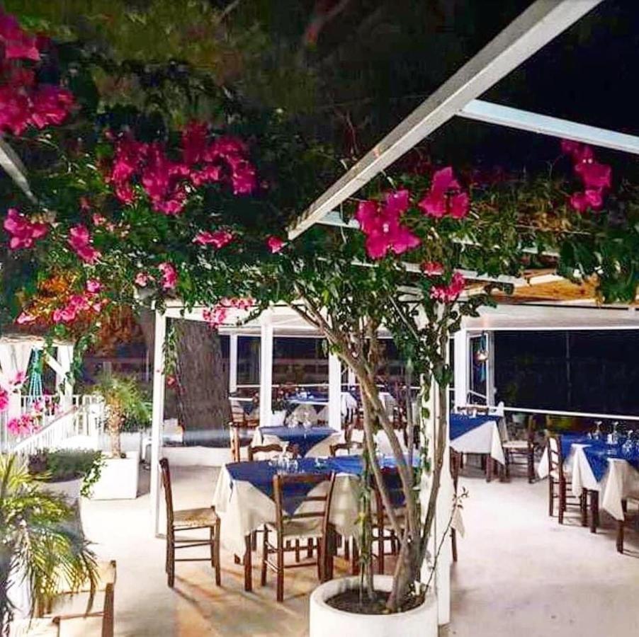 Miramare Bed&Food - Free Parking & Wifi Acomodação com café da manhã San Nicola Arcella Exterior foto
